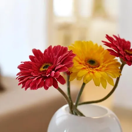 Nina Апартаменти Пореч